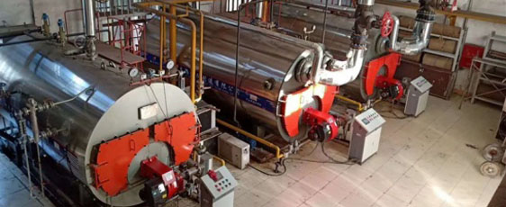 河南太康鍋爐廠 2t天然氣鍋爐總圖